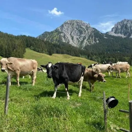 Switzerland 1