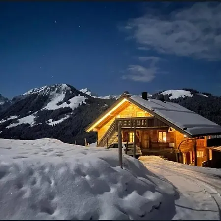 Chalet Switzerland 1